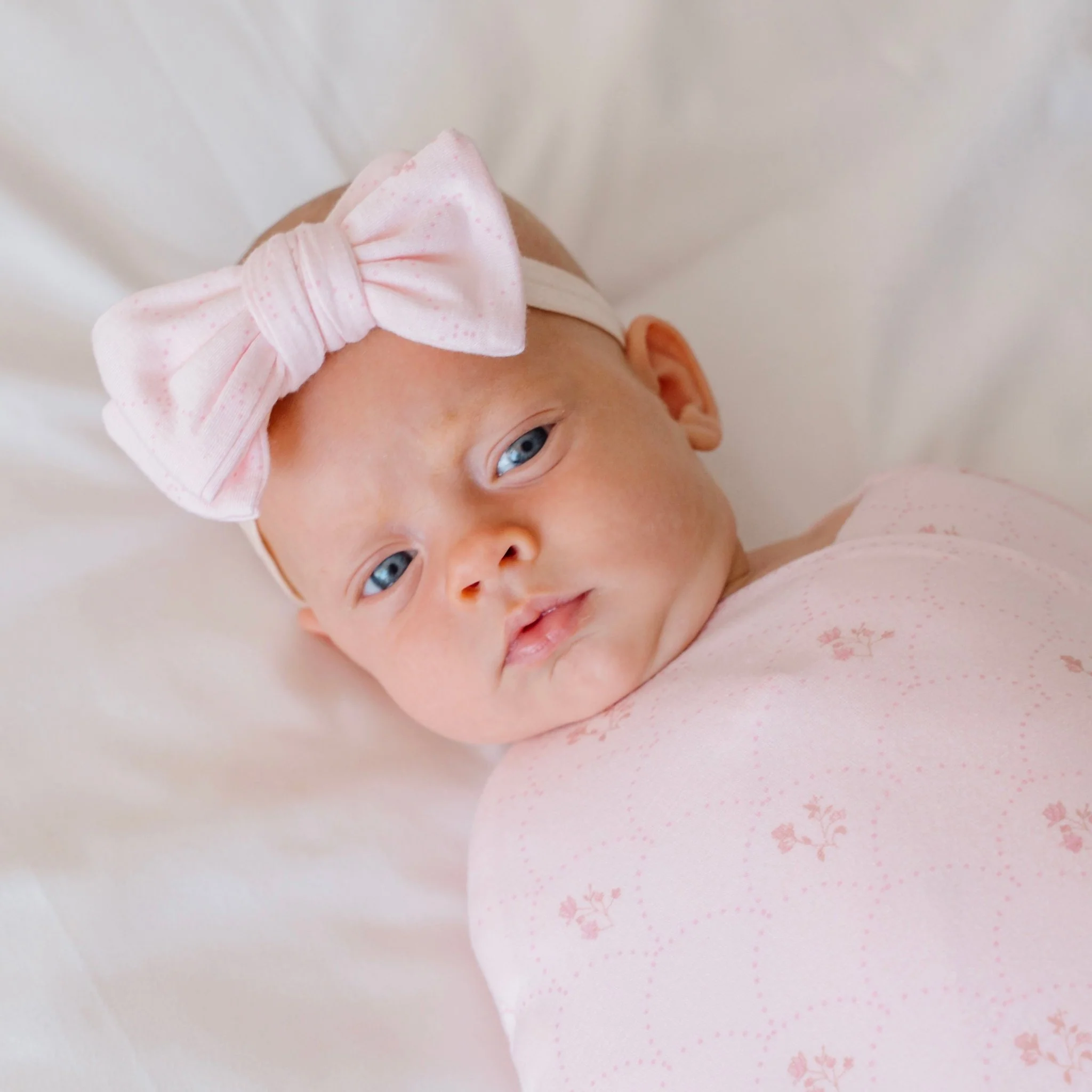 BOWS - Image 11